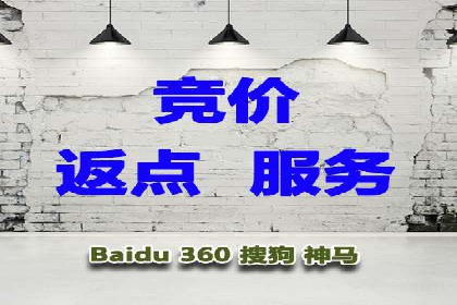 顶级SEM服务公司案例解析